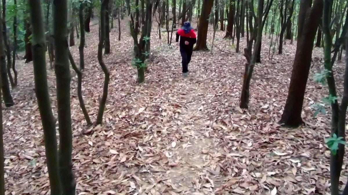 4G smart watch SIM card 4G watch with camera 4G Android Smart Watch with GPS