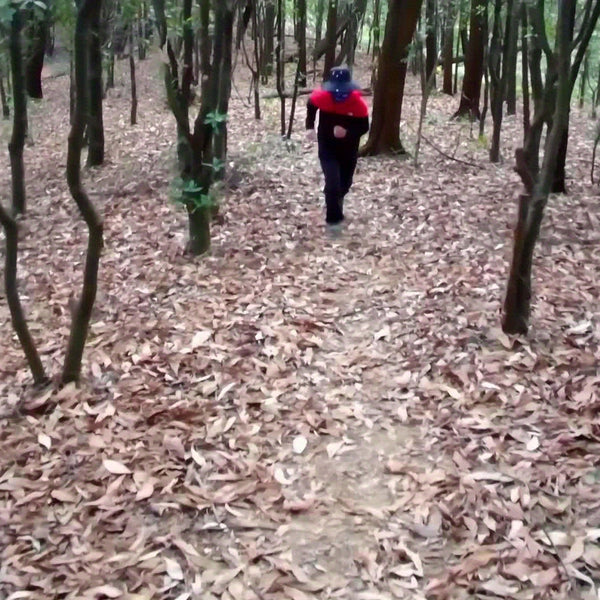 4G smart watch SIM card 4G watch with camera 4G Android Smart Watch with GPS